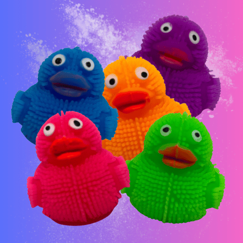 group of five puffer rubber ducks in an assortment of colors